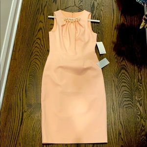 Light pink embellished sheath dress